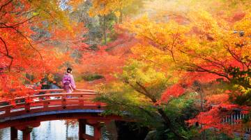 Parks are much quieter in Japan. Picture Shutterstock