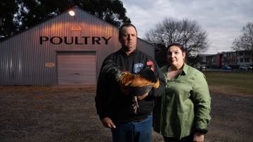 Canberra Queanbeyan Poultry Club president David Thistleton and club secretary Kerrie Wood. Picture by Elesa Kurtz