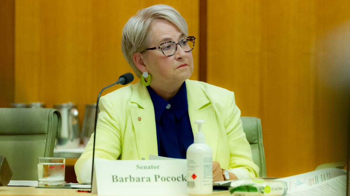 Senator Barbara Pocock. Picture by Elesa Kurtz